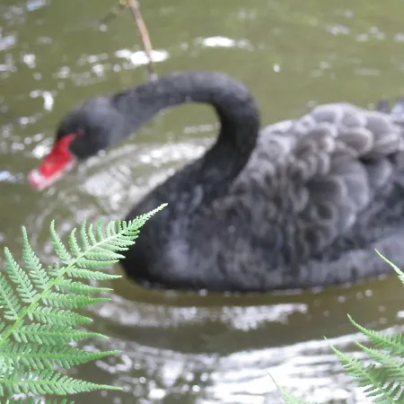 Haus Inge Am Park * Kenzingen